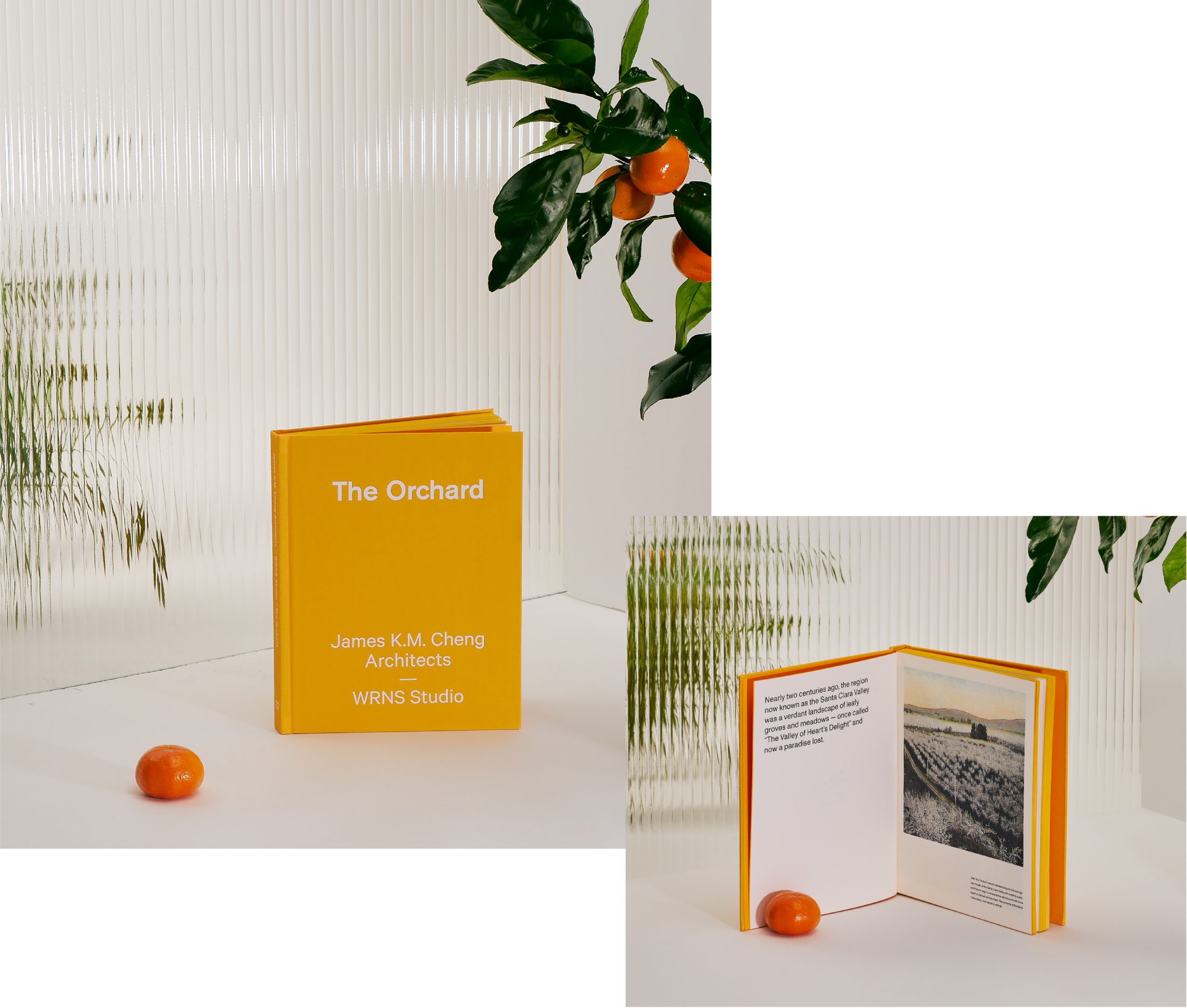 Book design for The Orchard by James KM Cheng Architects.