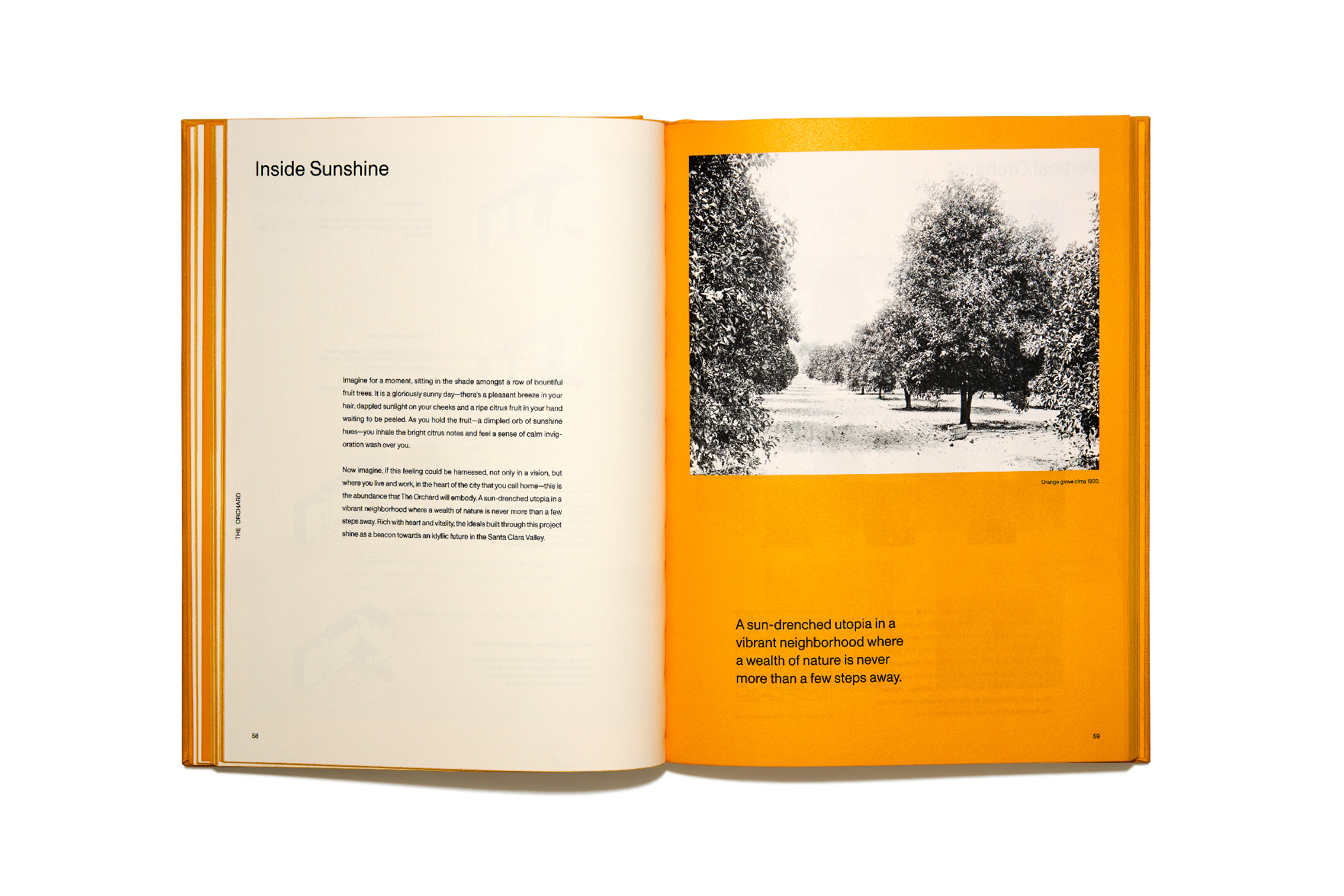 Book design for The Orchard by James KM Cheng Architects.