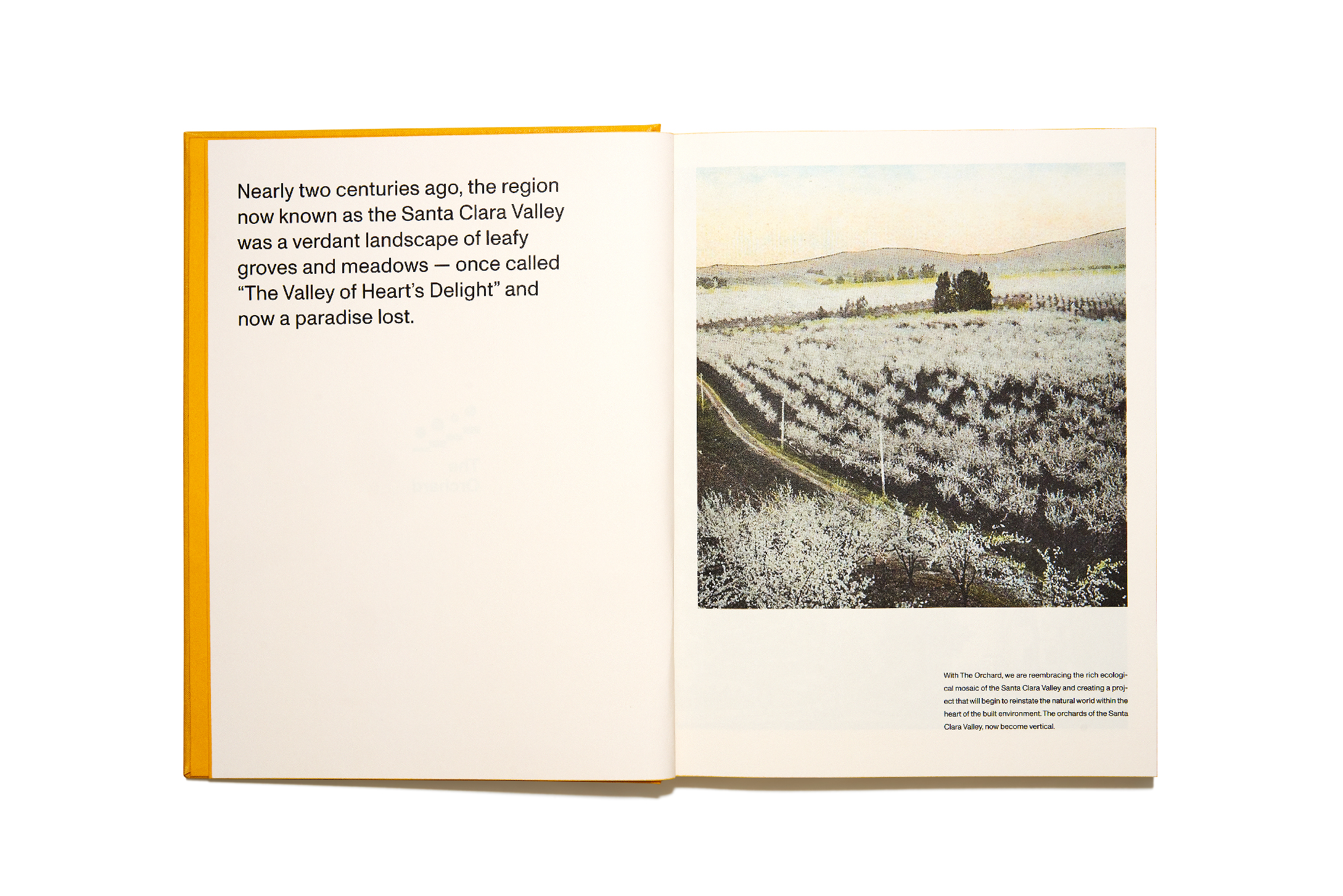 Book design for The Orchard by James KM Cheng Architects.