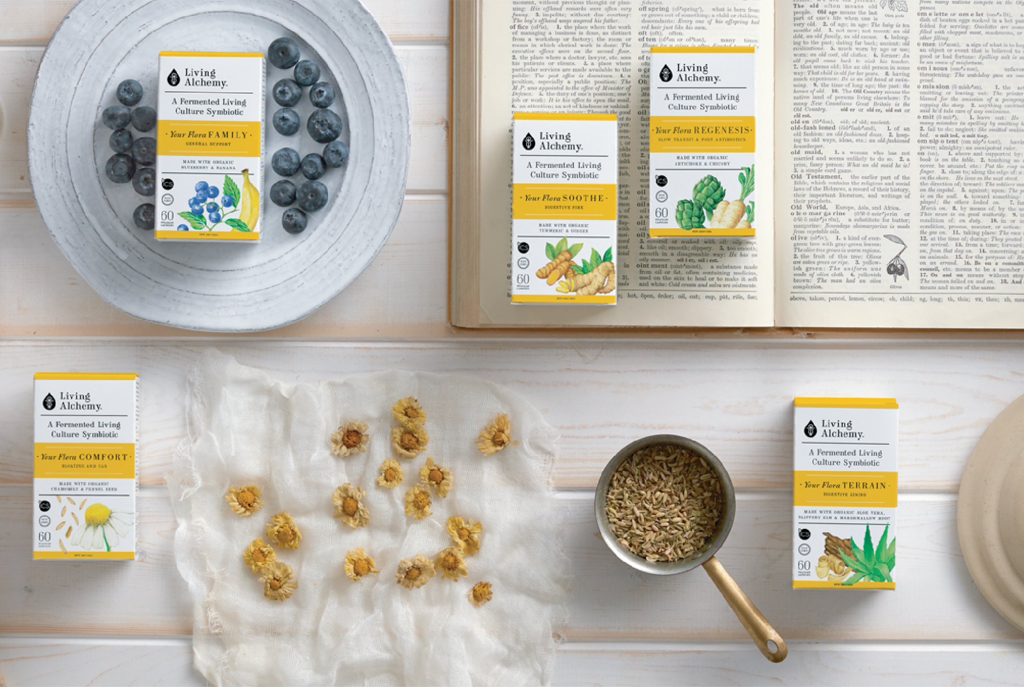 Branding and packaging design for Living Alchemy.